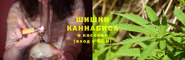 гашик Ладушкин