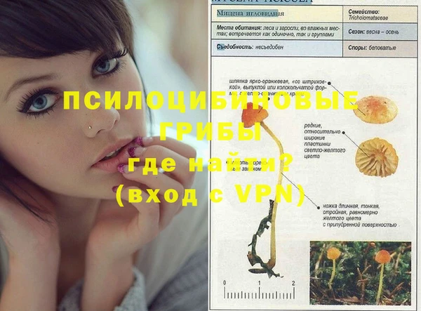 гашик Ладушкин